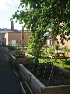 Raised Beds